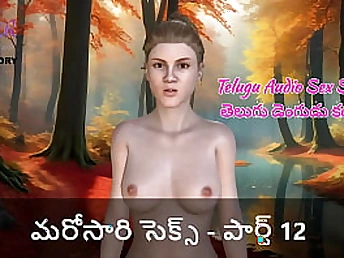 Plumb-out with 3 DIMENSIONAL models - Part 12: A Telugu Audio Hook-up Story - A Story of Enjoy and Venture