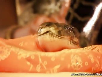 Exotic oriental teenie gets her puffies swell from frolicking with her humungous pet snake on the couch