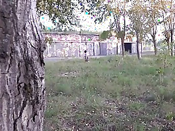 Insatiable girl wearing a microskirt flashing her honeypot in public