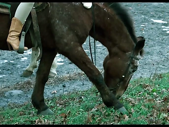 Justine A Matter of Spinsterhood