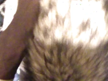 Fox Tail Seat Plumbing Ginger Teen Point Be required of Scare stiff (SHE LUVS IT) ;)